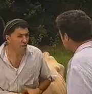 H&a cow muck episode