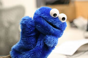 Cookie Monster