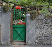 The green gate