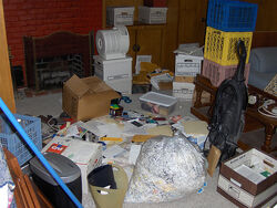 Pack Rat Blues