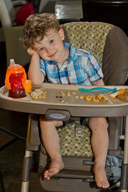 Highchair Plaid 1