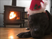 Woodstove-4686