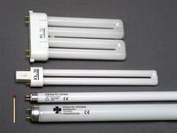 Fluorescent bulb