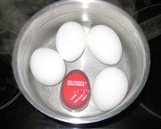 Perfect Egg Timer