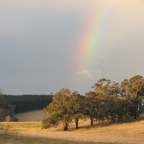 File:Rainbow's end.jpg