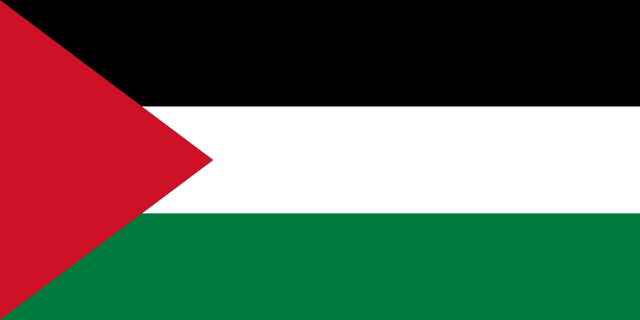 File:800px-Flag of Palestine.svg.png