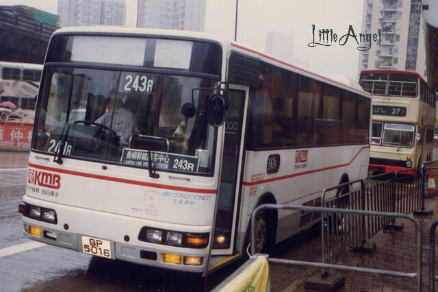 檔案:243R-2.jpg