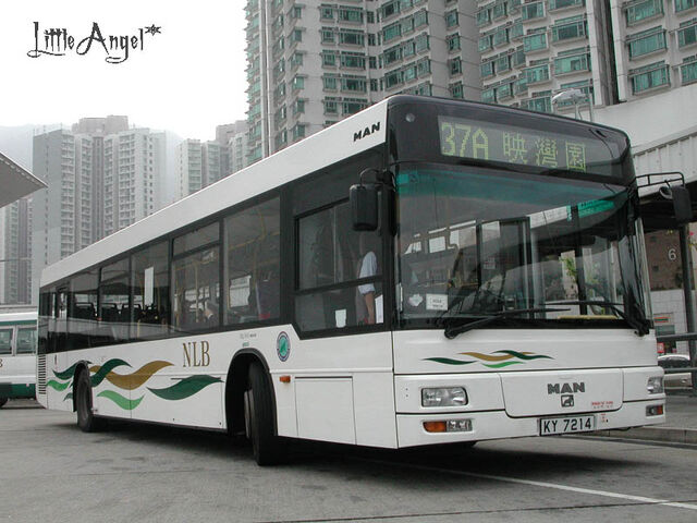 檔案:NLB37A.jpg