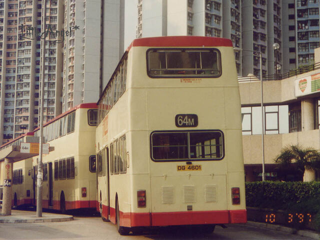檔案:DG4601 64M(rear).jpg