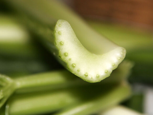 File:Celery.jpg
