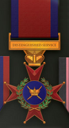 DSO