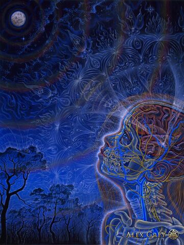Archivo:Alex Grey-Wonder.jpg