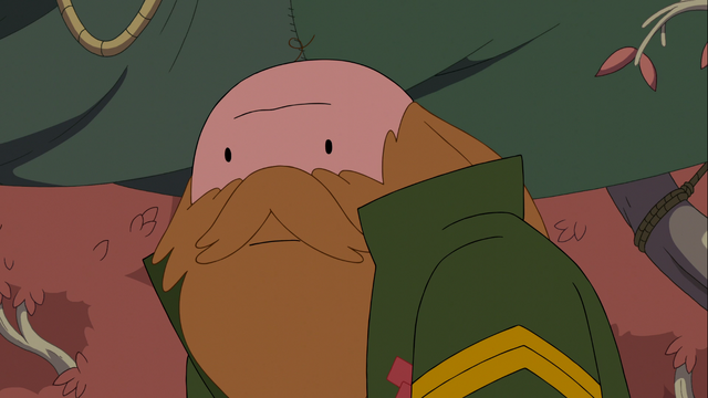 Archivo:TVR36.png
