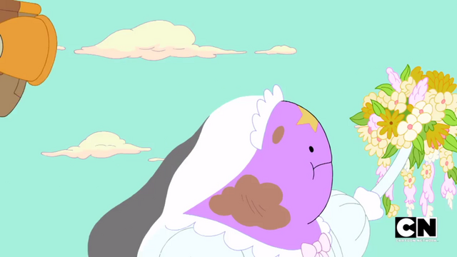 Archivo:AW55.png