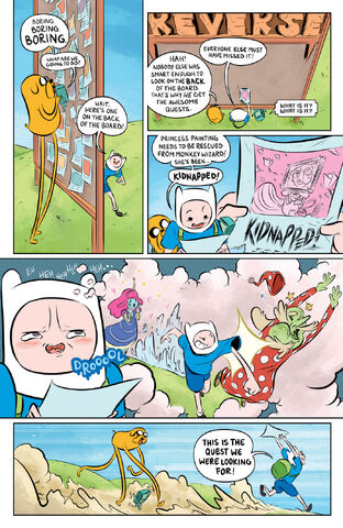 Archivo:Flip Side 011.jpg