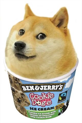 Archivo:Doge.jpg