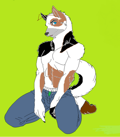 Archivo:Loock.png