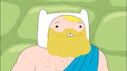 AT.PHY.62.png
