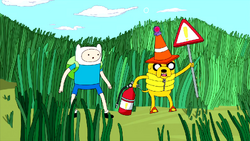 DONNY1.png