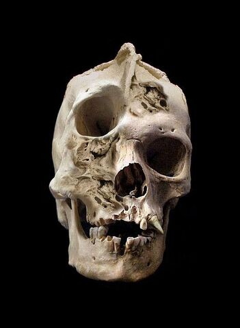 File:Kryat Skull.jpg