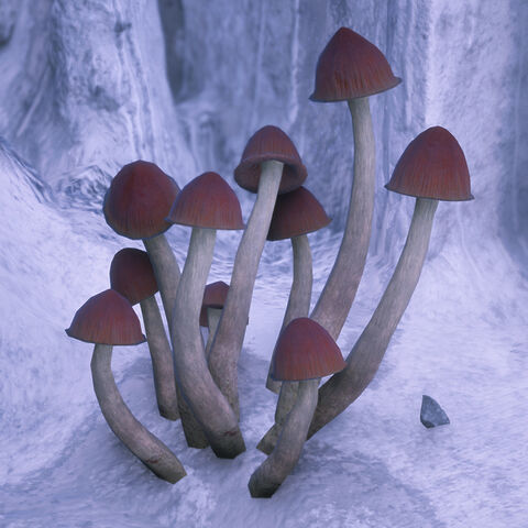 File:Grey Omen.jpg