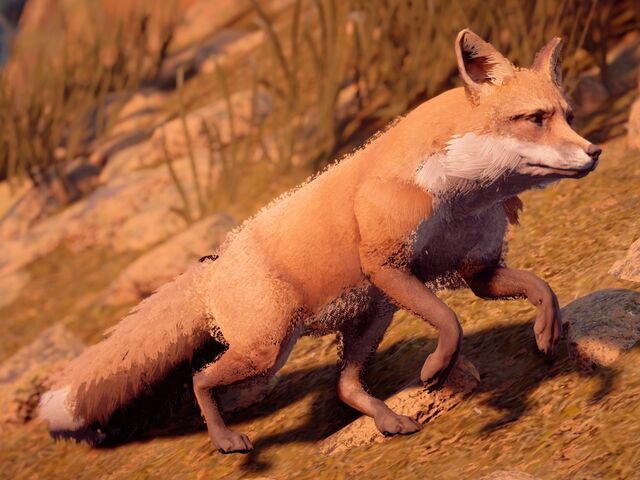 Datei:Fuchs.jpg