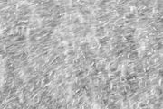 Blizzard