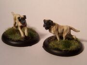 Guarddogs