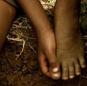 Tenderfoot