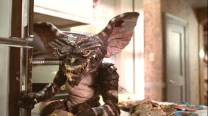 Gremlins2 (1)