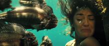 Piranha3d fish