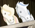 Thumbnail for version as of 03:38, June 20, 2012
