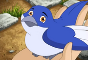 Bluebird
