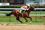 Churchill Downs