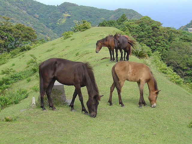 File:Image-1471538894.jpeg