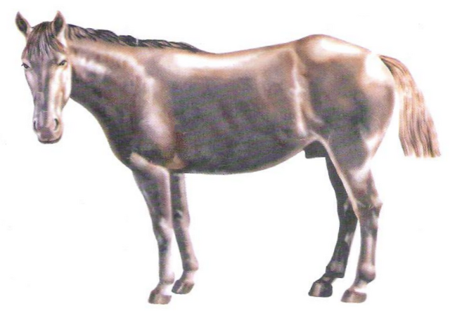 File:Tiro argentino.png
