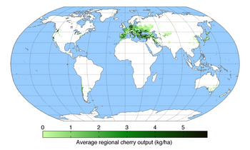 800px-CherryYield