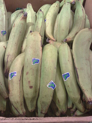 File:450px-Plantains.jpg