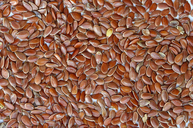 File:800px-Brown Flax Seeds.jpg