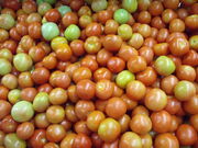 Tomato scanned