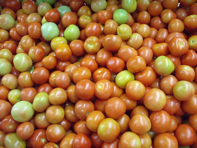 File:Tomato scanned.jpg