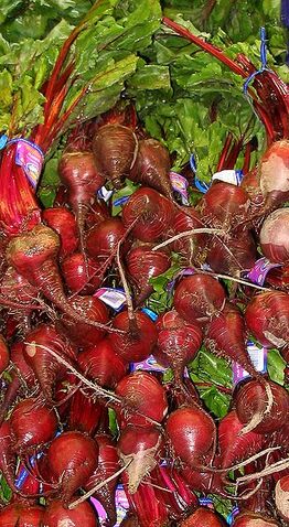 File:328px-Beets.jpg