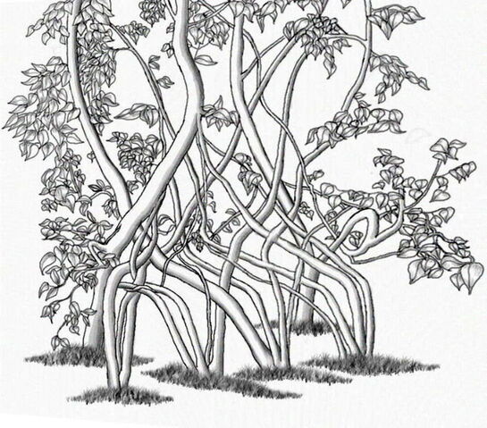 File:Chair1.jpg