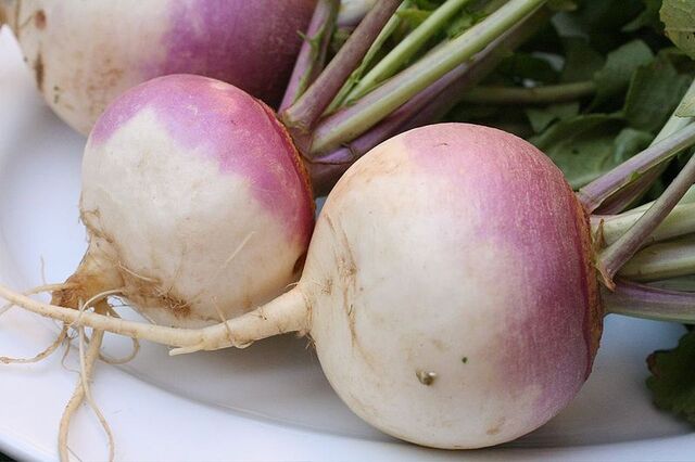 File:800px-Turnip 2622027.jpg