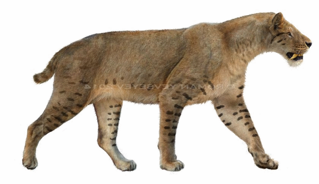 File:Allias the sabre tooth.png
