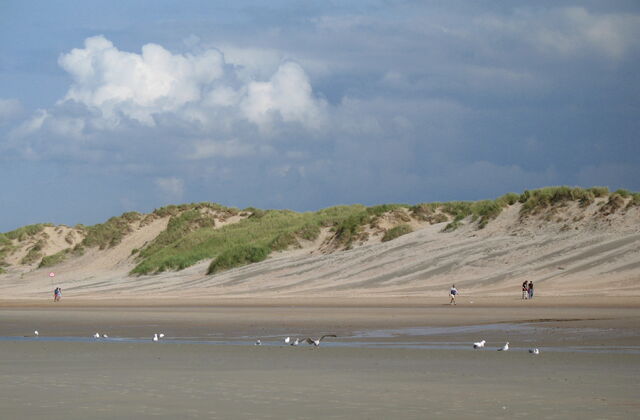 Datei:Koksijde Strand.jpg