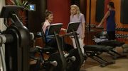 GaiusGym