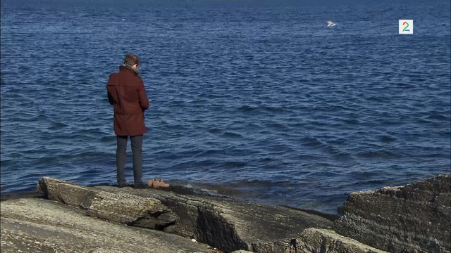Fil:Albert ved fjorden.png