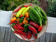 Peppers