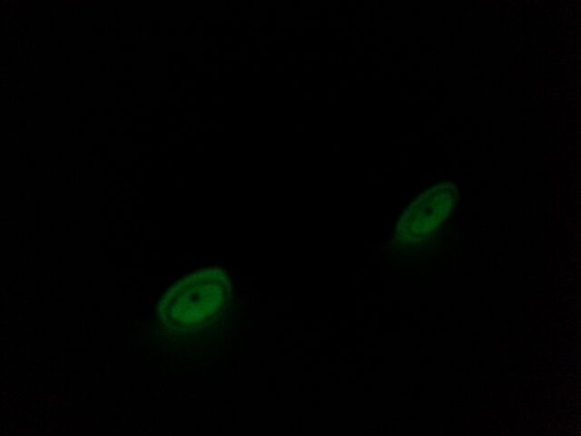 File:Covelight Glow-in-the-Dark.jpg